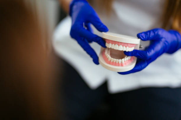 Dental X-Rays and Imaging in Auburndale, FL